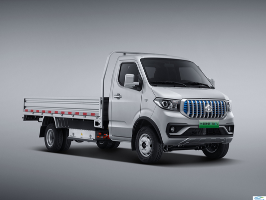 2024 Comfort Mini Truck Einzelhandel Elektrofahrzeuge Automobil Nutzfahrzeuge T30EV