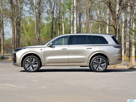 Modell kundenspezifisches EV L9-2024 Pro Ride-On-Car-Ladegerät für Lixiang Range Extended Energy Cars