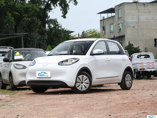 2024 Wuling Bingo 203km Ease Ride-On Elektro-EV-Pkw für Energiefahrzeug