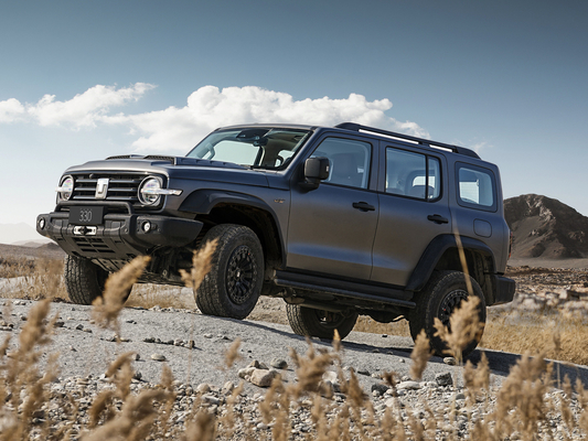 2024 Great Wall Tank 300 starker Offroad-SUV Treibstoff Ihre Offroad-Abenteuer mit Stil