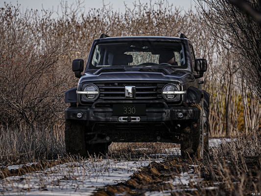 2024 Great Wall Tank 300 starker Offroad-SUV Treibstoff Ihre Offroad-Abenteuer mit Stil