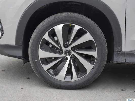 Tech Heating Electric SUV 175km/h Maximalgeschwindigkeit 5-Türer 5-Sitzer SUV mit 5-Sterne-Sicherheitsbewertung