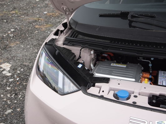 305Km Reichweite Kompaktes Elektroauto BYD 2024 Glory Version mit rein elektrischer Leistung