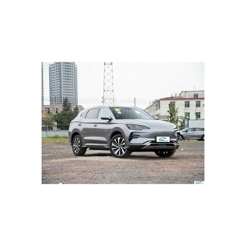Swing Door PHEV Custom Ride-On Motor Mounts Verkleidungen für BYD Luxus Typ SUV Auto